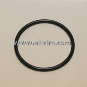 Replacement O-Ring for Fuel Pump Block Off Plate